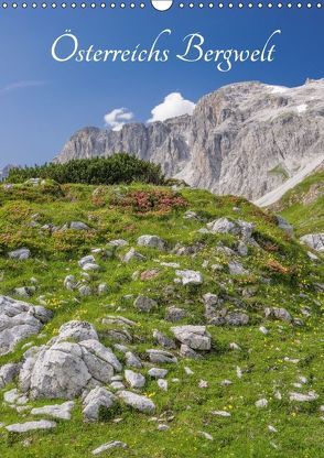 Österreichs Bergwelt (Wandkalender 2018 DIN A3 hoch) von Aigner,  Susanne, Brandstätter,  Hannes