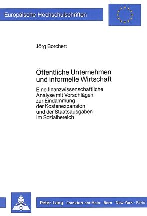 Öffentliche Unternehmen und informelle Wirtschaft von Borchert,  Jörg