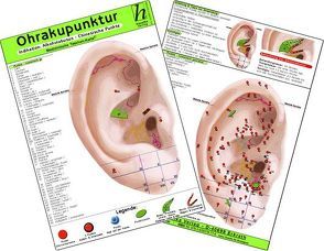 Ohrakupunktur – Indikation: Übergewicht / Adipositas – chinesische Ohrakupunktur / Medizinische Taschen-Karte von Hawelka Verlag,  Hawelka, Verlag Hawelka