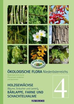 Ökologische Flora – Nieder-Österreichs Pflanzenwelt entdecken und bestimmen von Adler,  Wolfgang, Holzner,  Wolfgang, Winter,  Silvia