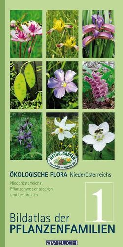 Ökologische Flora – Nieder- Österreichs Pflanzenwelt  entdecken und bestimmen von Adler,  Wolfgang, Holzner,  Wolfgang, Kropf,  Matthias, Winter,  Silvia