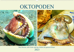 Oktopoden. Drei Herzen, acht Arme und das Gehirn im ganzen Körper (Wandkalender 2023 DIN A2 quer) von Hurley,  Rose