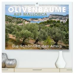 Olivenbäume auf Mallorca – Die Schönheit des Alters (hochwertiger Premium Wandkalender 2024 DIN A2 quer), Kunstdruck in Hochglanz von Oelschläger,  Wilfried