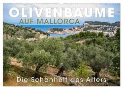 Olivenbäume auf Mallorca – Die Schönheit des Alters (Wandkalender 2024 DIN A2 quer), CALVENDO Monatskalender von Oelschläger,  Wilfried