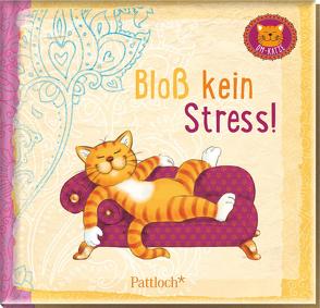 Om-Katze: Bloß kein Stress! von Manneh,  Lisa