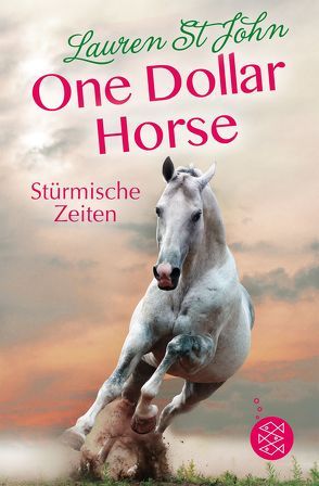 One Dollar Horse – Stürmische Zeiten von Renfer,  Christoph, St John,  Lauren