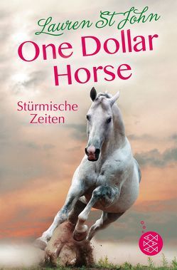 One Dollar Horse – Stürmische Zeiten von Renfer,  Christoph, St John,  Lauren