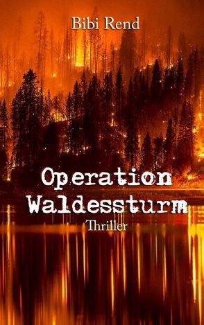 Operation Waldessturm von Rend,  Bibi