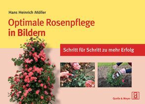 Optimale Rosenpflege in Bildern von Möller,  Hans Heinrich