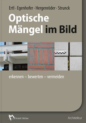 Optische Mängel im Bild von Egenhofer,  Martin, Ertl,  Ralf, Hergenröder,  Michael, Strunck,  Thomas