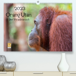 Orang Utan 2023 – Der Waldmensch (Premium, hochwertiger DIN A2 Wandkalender 2023, Kunstdruck in Hochglanz) von Heiss Photography,  Daniel