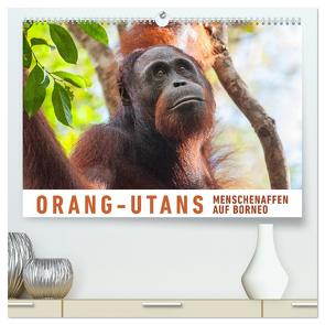 Orang-Utans Menschenaffen auf Borneo (hochwertiger Premium Wandkalender 2024 DIN A2 quer), Kunstdruck in Hochglanz von Ristl,  Martin