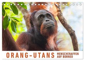 Orang-Utans Menschenaffen auf Borneo (Tischkalender 2024 DIN A5 quer), CALVENDO Monatskalender von Ristl,  Martin