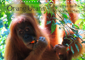 Orang Utans – Sumatras sanfte Waldmenschen (Wandkalender 2022 DIN A4 quer) von Otero,  S.B.