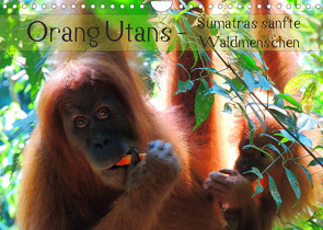 Orang Utans – Sumatras sanfte Waldmenschen (Wandkalender 2023 DIN A4 quer) von Otero,  S.B.