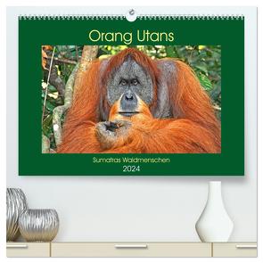 Orang Utans Sumatras Waldmenschen (hochwertiger Premium Wandkalender 2024 DIN A2 quer), Kunstdruck in Hochglanz von Edel,  Anja