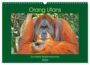 Orang Utans Sumatras Waldmenschen (Wandkalender 2024 DIN A3 quer), CALVENDO Monatskalender von Edel,  Anja