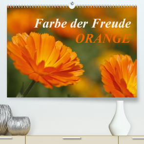 ORANGE – Farbe der Freude (Premium, hochwertiger DIN A2 Wandkalender 2021, Kunstdruck in Hochglanz) von Lindert-Rottke,  Antje