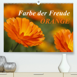 ORANGE – Farbe der Freude (Premium, hochwertiger DIN A2 Wandkalender 2023, Kunstdruck in Hochglanz) von Lindert-Rottke,  Antje