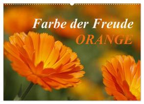 ORANGE – Farbe der Freude (Wandkalender 2024 DIN A2 quer), CALVENDO Monatskalender von Lindert-Rottke,  Antje