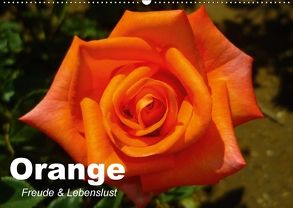 Orange. Freude und Lebenslust (Wandkalender 2018 DIN A2 quer) von Stanzer,  Elisabeth