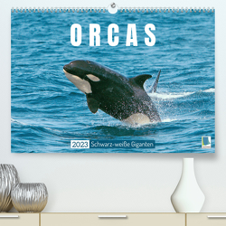 Orcas: Schwarz-weiße Giganten (Premium, hochwertiger DIN A2 Wandkalender 2023, Kunstdruck in Hochglanz) von CALVENDO