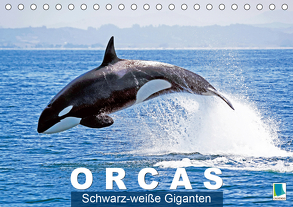 Orcas: Schwarz-weiße Giganten (Tischkalender 2020 DIN A5 quer) von CALVENDO