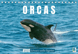 Orcas: Schwarz-weiße Giganten (Tischkalender 2023 DIN A5 quer) von CALVENDO