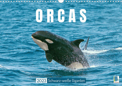Orcas: Schwarz-weiße Giganten (Wandkalender 2023 DIN A3 quer) von CALVENDO