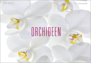 Orchideen von Pawlitzki,  Micha