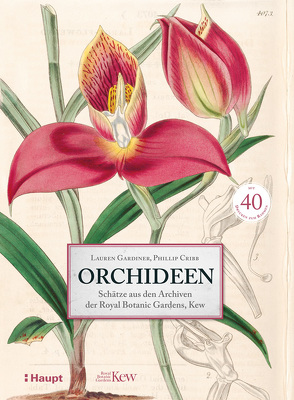 Orchideen von Bahle,  Frauke, Cribb,  Phillip, Gardiner,  Lauren