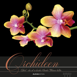Orchideen 2021 – Bild-Kalender 33×33 cm – Orchids – Blumen – inkl. Notizbereich – Wandplaner – Alpha Edition