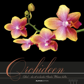 Orchideen 2021 – Bild-Kalender 33×33 cm – Orchids – Blumen – inkl. Notizbereich – Wandplaner – Alpha Edition