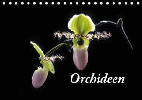 Orchideen 2021 (Tischkalender 2021 DIN A5 quer) von kleber©gagelart