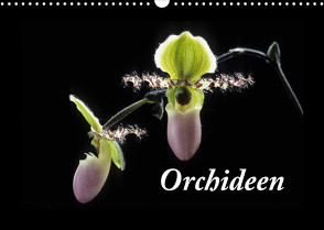 Orchideen 2022 (Wandkalender 2022 DIN A3 quer) von kleber©gagelart