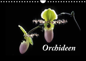 Orchideen 2022 (Wandkalender 2022 DIN A4 quer) von kleber©gagelart