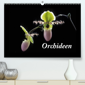 Orchideen 2023 (Premium, hochwertiger DIN A2 Wandkalender 2023, Kunstdruck in Hochglanz) von kleber©gagelart