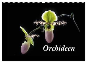 Orchideen 2024 (Wandkalender 2024 DIN A2 quer), CALVENDO Monatskalender von kleber©gagelart,  kleber©gagelart