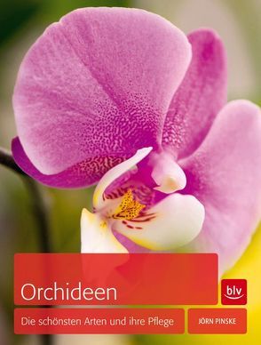 Orchideen von Pinske,  Jörn