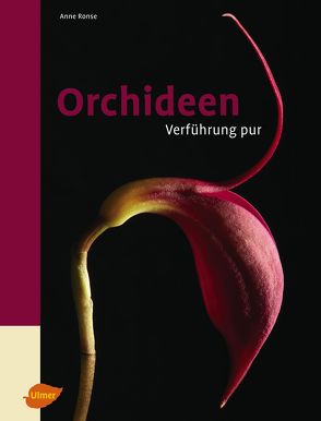 Orchideen von Ronse,  Anne