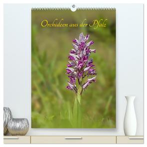 Orchideen aus der Pfalz (hochwertiger Premium Wandkalender 2024 DIN A2 hoch), Kunstdruck in Hochglanz von juehust,  juehust