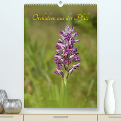Orchideen aus der Pfalz (Premium, hochwertiger DIN A2 Wandkalender 2023, Kunstdruck in Hochglanz) von juehust