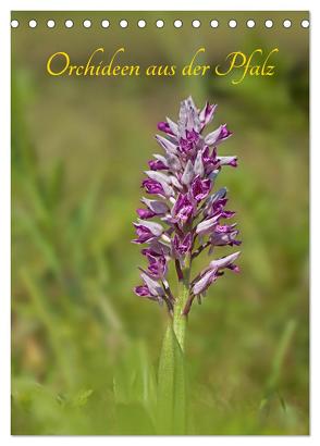 Orchideen aus der Pfalz (Tischkalender 2024 DIN A5 hoch), CALVENDO Monatskalender von juehust,  juehust