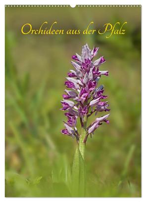 Orchideen aus der Pfalz (Wandkalender 2024 DIN A2 hoch), CALVENDO Monatskalender von juehust,  juehust