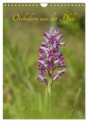 Orchideen aus der Pfalz (Wandkalender 2024 DIN A4 hoch), CALVENDO Monatskalender von juehust,  juehust