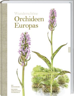 Wunderschöne Orchideen Europas von Mossberg,  Bo, Pedersen,  Henrik