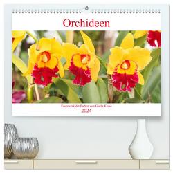 Orchideen Feuerwerk der Farben (hochwertiger Premium Wandkalender 2024 DIN A2 quer), Kunstdruck in Hochglanz von Kruse,  Gisela