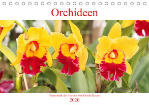 Orchideen Feuerwerk der Farben (Tischkalender 2020 DIN A5 quer) von Kruse,  Gisela