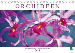Orchideen: Filigrane Eleganz – prachtvolle Farben (Tischkalender 2018 DIN A5 quer) von CALVENDO