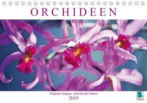 Orchideen: Filigrane Eleganz – prachtvolle Farben (Tischkalender 2019 DIN A5 quer) von CALVENDO